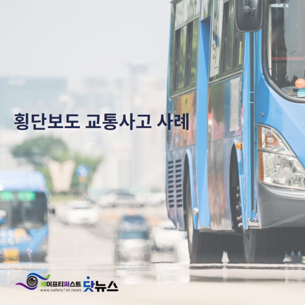 ⓒ세이프티퍼스트닷뉴스 이미지