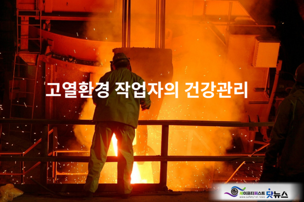 ⓒ세이프티퍼스트닷뉴스 이미지