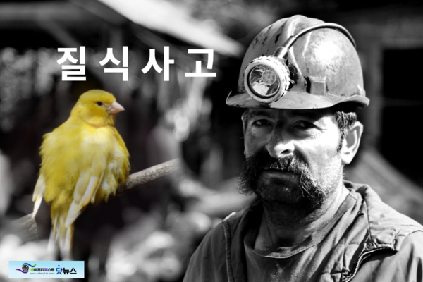 ⓒ세이프티퍼스트닷뉴스 이미지/ 과거 광부들은 카나리아와 함께 탄광에 내려갔다.