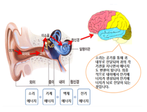ⓒ그림.  소리의 전달과정