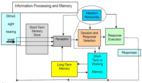 ⓒSource: Wickens, 2004 & DOD(USA), 2009