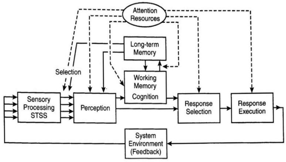 ⓒSource: Wickens, 2004 & DOD(USA), 2009
