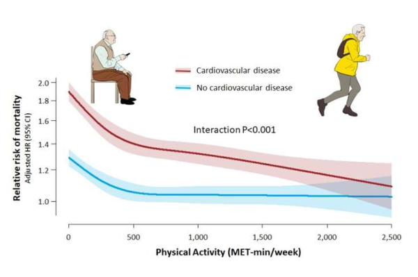 reference) Sang-Woo Jeong et al, Mortality reduction with physical activity in patients with and without cardiovascular disease, European Heart Journal (2019)