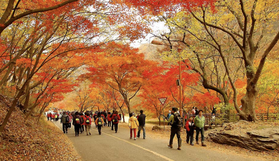 ⓒ가을 등산 모습(본 기사 내용과는 무관)