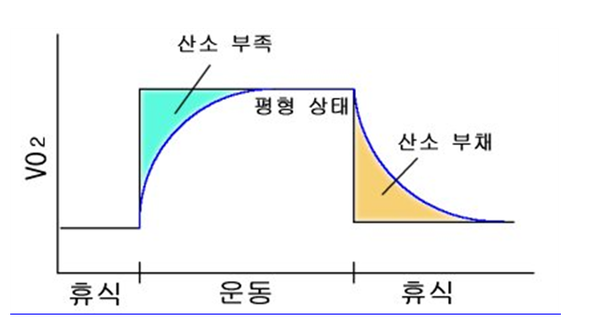ⓒ산소부채 현상