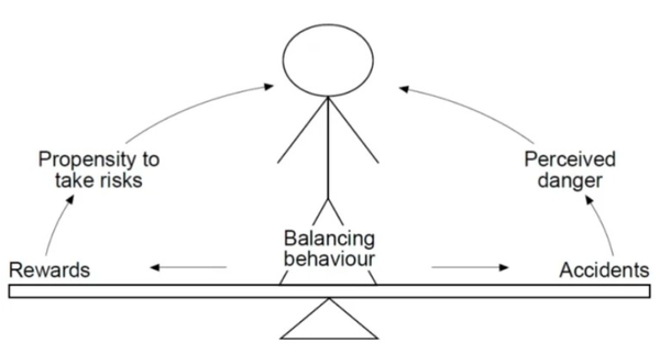 ⓒ위험 항상성이론에 의한 밸런스 유지