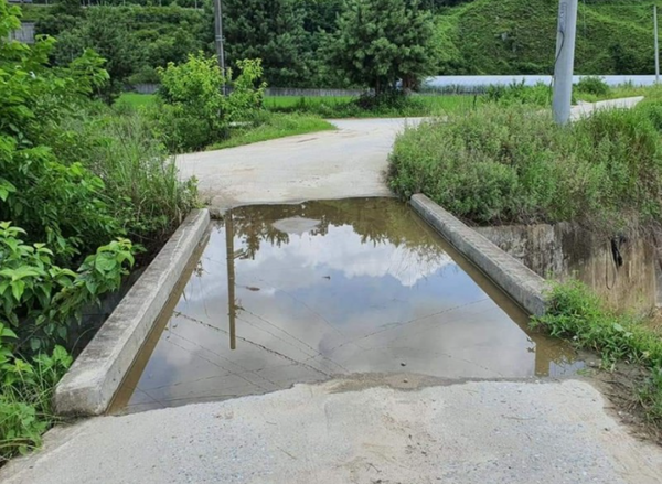 ⓒ물고인 교량 모습. 주민들은 신발이 젖지 않기 위해 교량모서리에 있는 연석을 밟고 지나가다 교량아래로 추락할 위험을 감수하고 통행해야 한다/사진- 이종탁의 생각정원