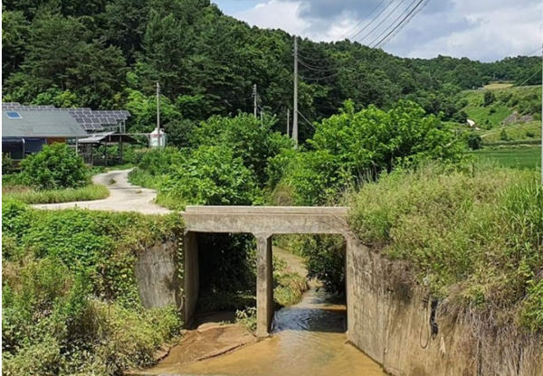 ⓒ교량 아래쪽 모습. 교량높이가 높아  아래로 추락시 큰 사고로 이어질수 있다.  /사진- 이종탁의 생각정원