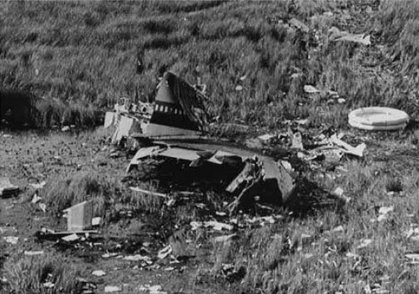 ⓒ에버글레이즈 습지에 추락한 비행기, 나무위키