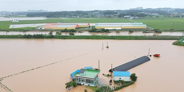 ⓒ출처- 더팩트