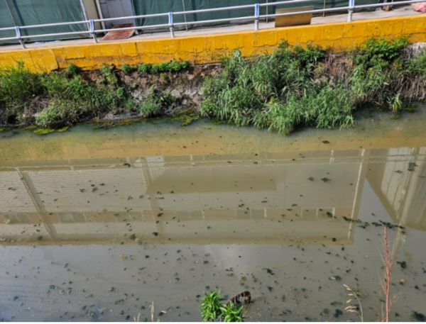 ⓒ심한 악취를 내품고 있는 하천의 물/사진- 이종탁 