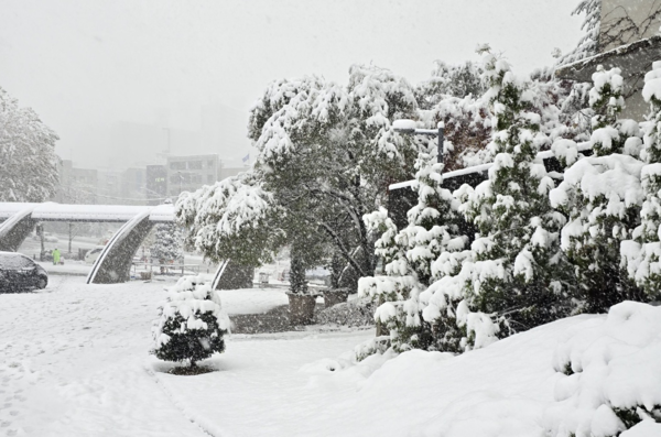ⓒ27일 서울 동작구에 위치한 숭실대에 눈이 쌓인 모습/사진- 세이프티퍼스트닷뉴스