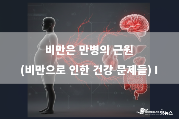 ⓒ이미지-세이프티퍼스트닷뉴스(생성 책임자: 김희경), Google AI Studio